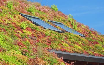 Llanfach living roof systems